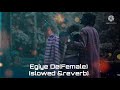Egiye De (Female) Lofi Remix | Slowed & Reverb | Somlata Acharyya Chowdhury | Sudhu Tomari Jonno