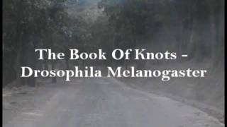 The Book Of Knots - Drosophila Melanogaster