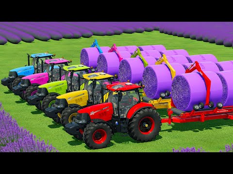 HARVEST, LOAD & MAKE LAVENDER BALES WITH CASE TRACTORS & JOHN DEERE HARVESTERS - FS22