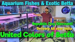 United Colors of Betta I Aquarium Fish Stock I Delivery Available All Over India