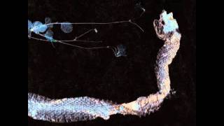 Tenhi - Rannalta Haettu (From The Shore)