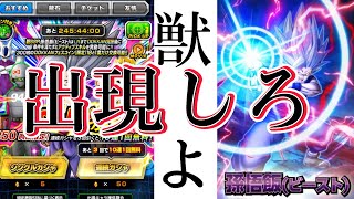 【ドッカンバトル】七夕ビーストを当てたい