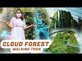 World S Largest Indoor Waterfall Singapore Cloud Forest Tour Diya Menon