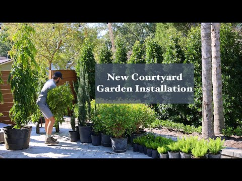 Courtyard Garden Makeover Timelapse - Garden installation from start to finish. #gardenmakeover
