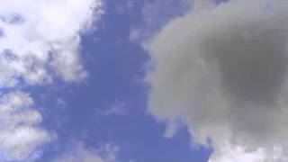 Company Flow - 8 Steps To Perfection