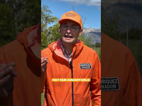 ¿Elegiste senador en Aysén?