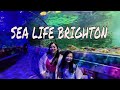 SEA LIFE Brighton Aquarium  (Virtual Tour)