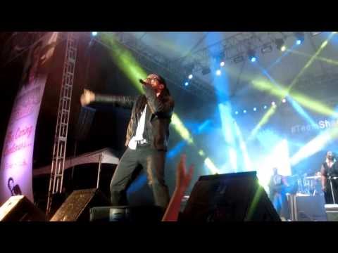 Wayne Marshall , Sasco ,Jr gong "Go hard" ,"welcome to jamrock " at Shaggy and friends concert