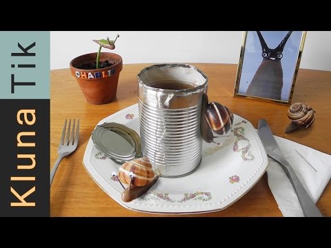 Kluna Tik and Charlie eating LIVING SNAILS!!!  - Kluna Tik Dinner #20 | ASMR eating sounds no talk