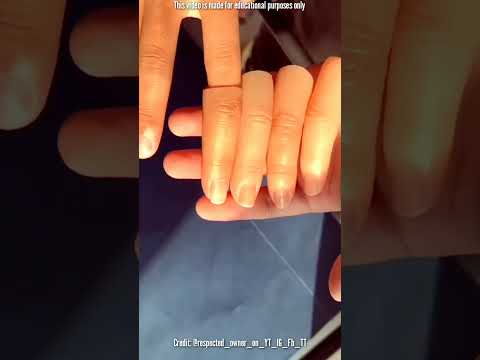 Dedo de maniquí Hermosos dedos de chicas #shorts #datosdeviaje