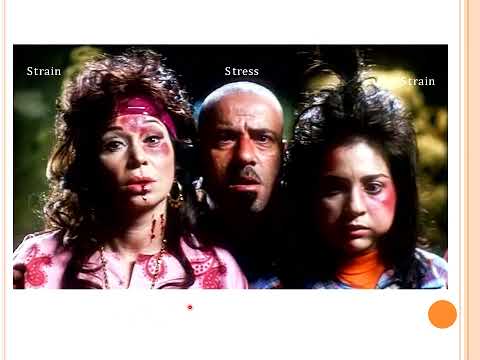 Chapter 2 Solids and Elasticity