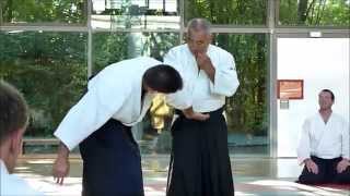 preview picture of video 'Yamashima Sensei Heidelberg 2014'