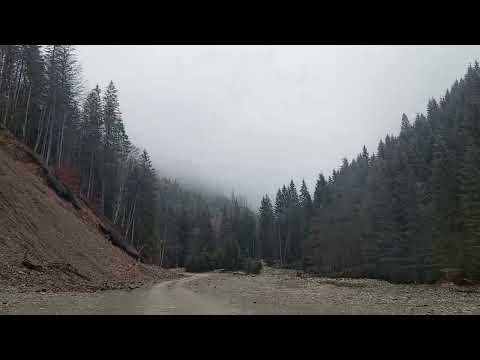 Drumul dintre VOINA si CUCA