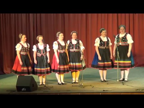 FS Železiar - 20.Košické folklórne dni 2015 - Hudaci hrajce