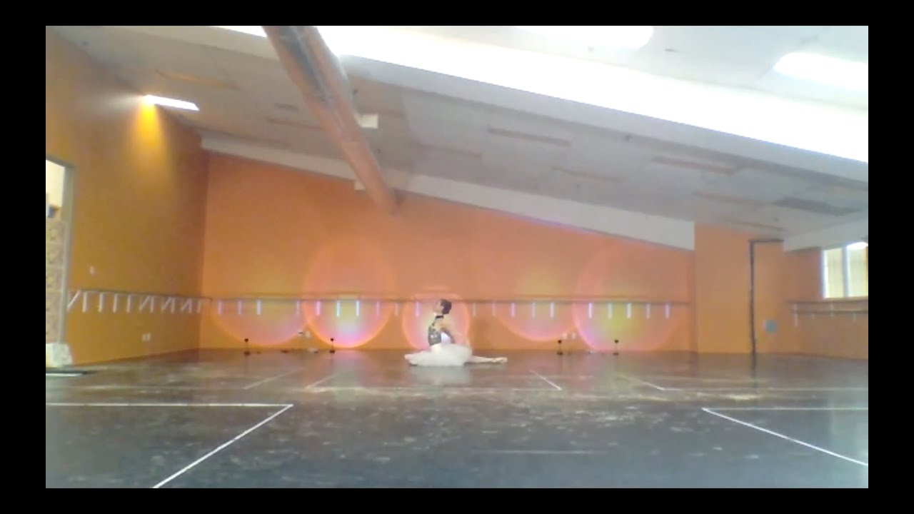 Promotional video thumbnail 22 for Ballet Reveries