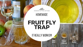 EASY HOMEMADE FRUIT FLY TRAP