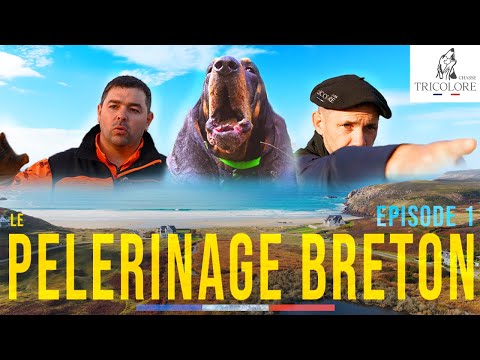 Chasse au sanglier en Bretagne – Le Pèlerinage Breton | Épisode 1