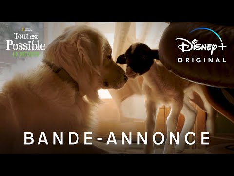 Tout est possible : le retour - Bande-annonce [VOST]