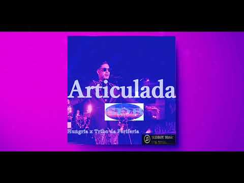 Hungria x Tribo da Periferia - Articulada Type Beat Instrumental 2025