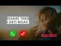 Ishare Tere Karti Nigah