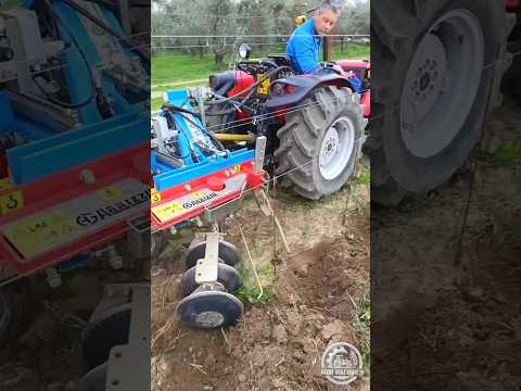 InRow Disk Cultivator At Work || For Weeding & Cultivation | Field Demo in Italy || #weeding #shorts
