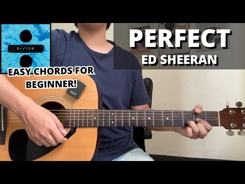 Perfect - Ed Sheeran (Guitar Tutorial) No Capo! Easy Chords For Beginner!