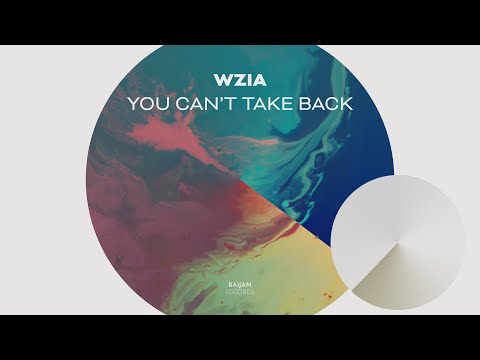 WziA - You Can't Take Back (Original Mix)