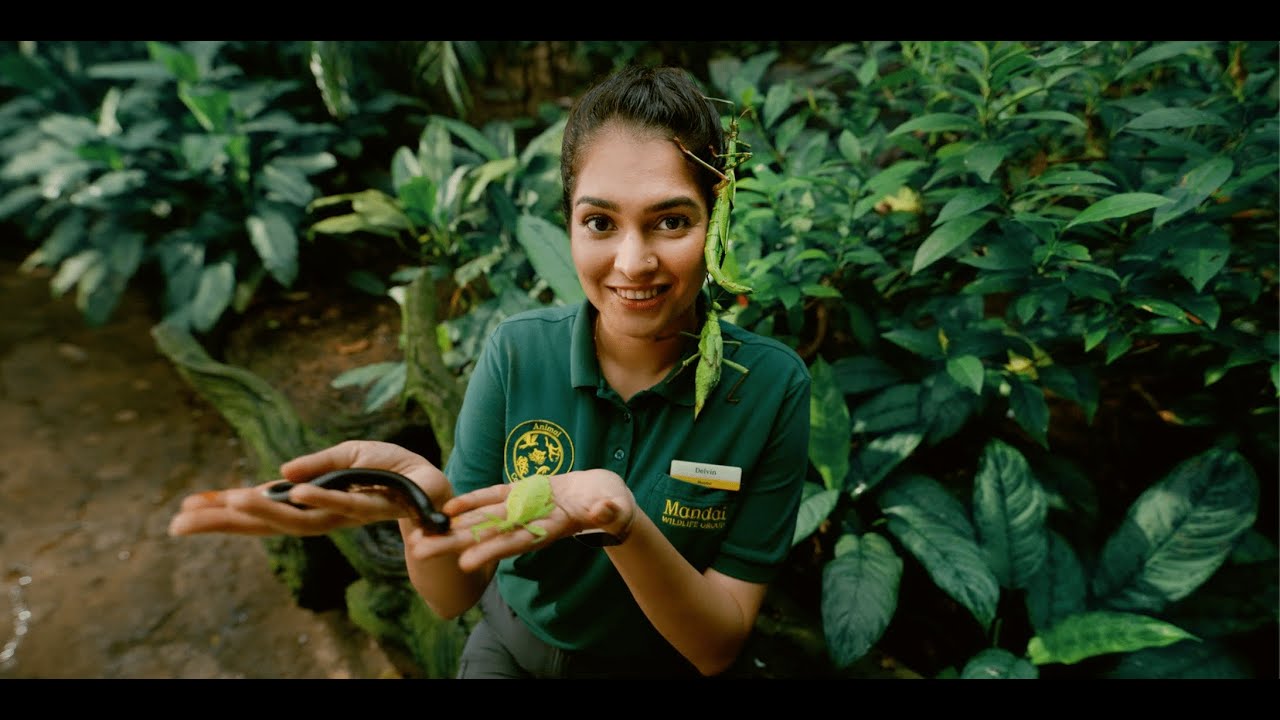 Singapore Tourism Board — Delvinder Gets Wild on the Job thumbnail