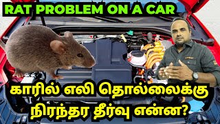 காரில் எலி தொல்லைக்கு நிரந்தர தீர்வு என்ன? HOW TO STOP RATS PROBLEM IN CAR