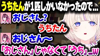 「うちたん(意味：牛さん)」が伝わらないばんちょーｗｗｗ【ホロライブ切り抜き/轟はじめ/AZKi/風真いろは/角巻わため/ReGLOSS/DEV_IS】