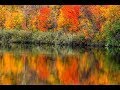 AUTUMN PHOTOGRAPHY IDEAS - Fall Photography Reflections