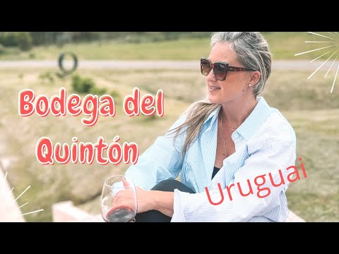 DICA DE BODEGA EM COLONIA | Bodega del Quintón para sua viagem ao Uruguai