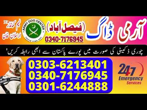 Army Dog Center Faisalabad khoji Dog Center Faisalabad khoji kutty Faisalabad Dog Center Contact No 