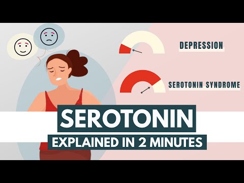 Serotonin |  Neurotransmitters explained
