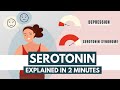 Serotonin  Neurotransmitters Explained