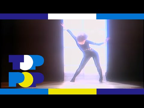 Video thumbnail for Stars On Stevie