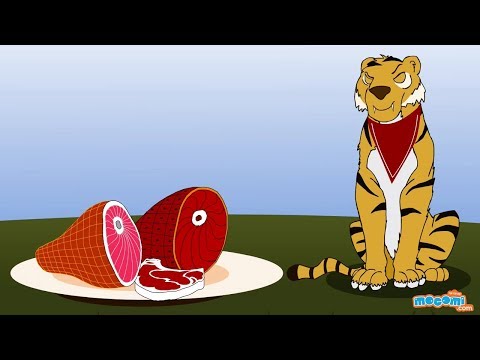 19 Interesting Facts about Tigers - Facts for Kids | Educational Videos by Mocomi Video
