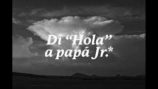 Lou Reed &amp; Metallica - Junior Dad (Sub español)