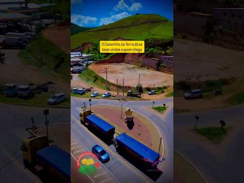 Canário-da-Terra