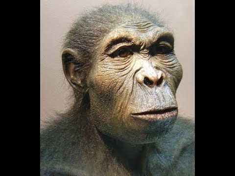 A Jornada da Vida vai ao berço da humanidade, a Etiópia