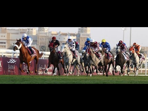 36th Race Meeting of Season 2017 / 2018