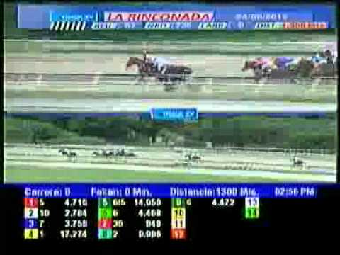 8VA CARRERA VIERNES 24 AGOSTO LA RINCONADA AUDIOHIPISMO