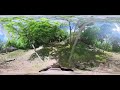 channel