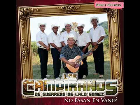 Los Campiranos de Lalo Gómez : Julia En vivo Desde Tlapa de Comonfort