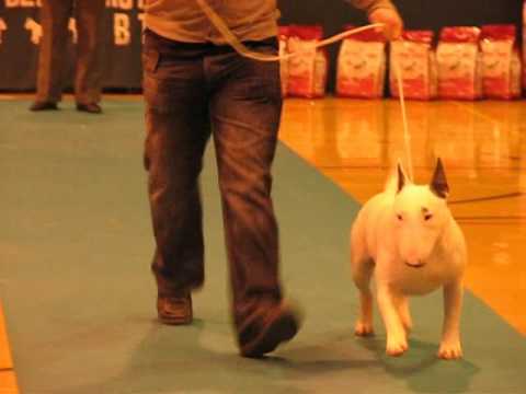 Lydsill The Untouchable.avi