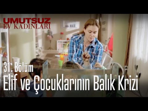 Elif ve çocuklarının balık krizi - Umutsuz Ev Kadınları 31. Bölüm