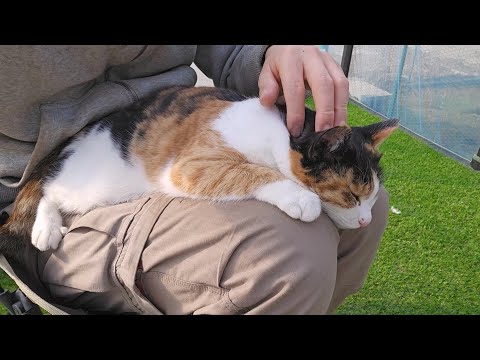 한겨울에 온도를 45도까지 올려보았다