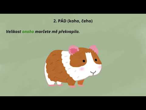 Skloňování UKAZOVACÍHO zájmena ONO (střední rod) | Čeština pro cizince (C1)