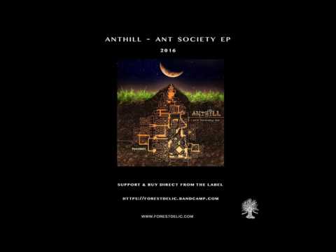 AntHill - Beyond Measure