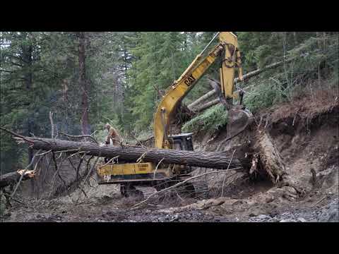 #305 Yankee Boy Update.Tree crashes on hoe!